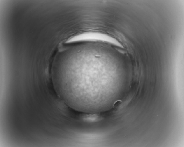 X0000088410377200706051158