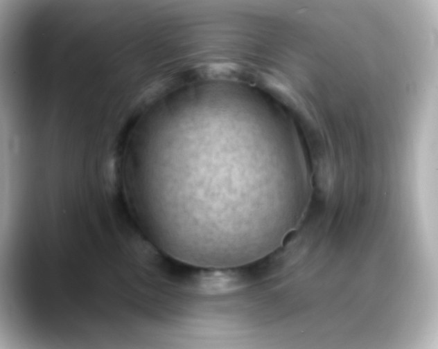 X0000088410378200706051158