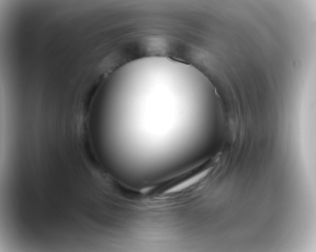 X0000088410379200706051158