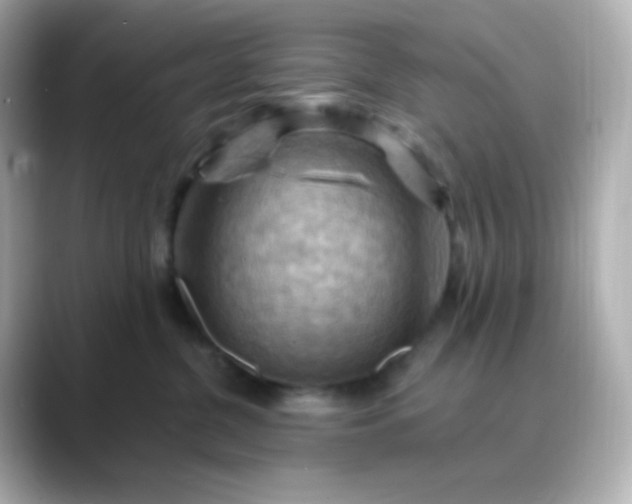 X0000088410380200706051158