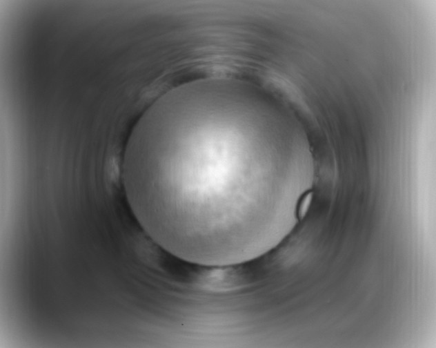 X0000088410382200706051158