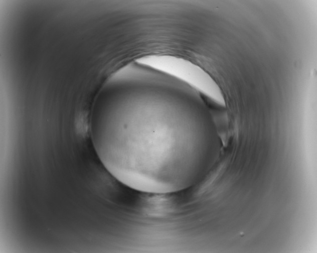 X0000088410383200706051158