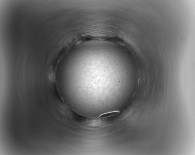 X0000088410384200706051158