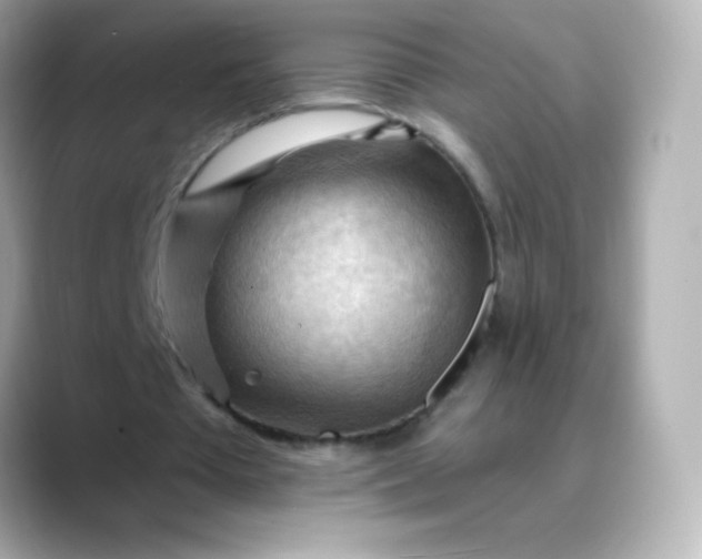 X0000088410385200706051157