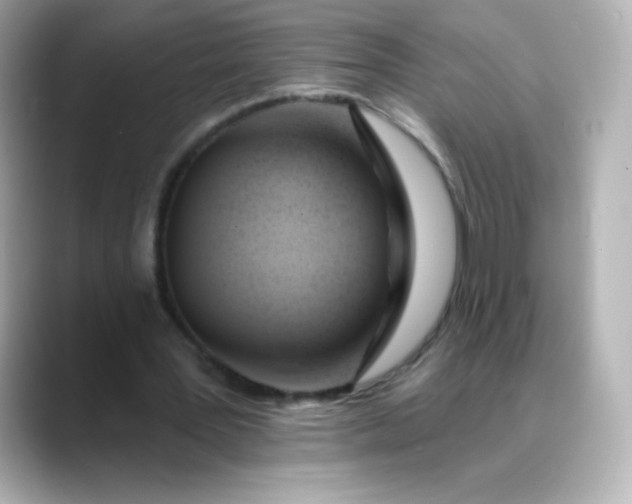 X0000088410387200706051157