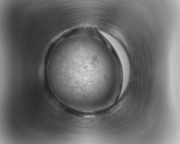 X0000088410388200706051157