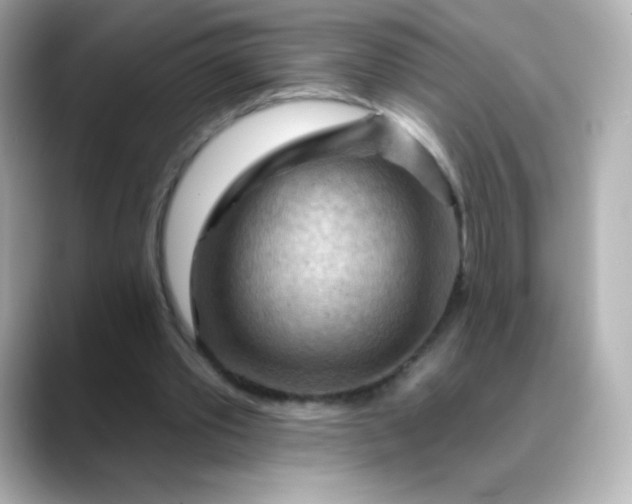 X0000088410389200706051157