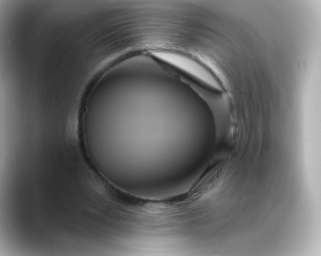 X0000088410391200706051157