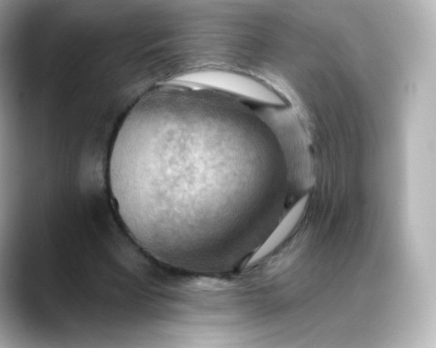 X0000088410393200706051157