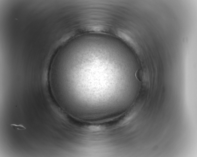 X0000088410394200706051157