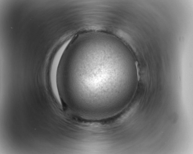 X0000088410395200706051157