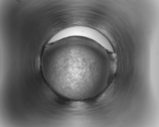 X0000088410397200706051157