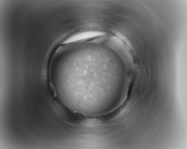 X0000088410399200706051157