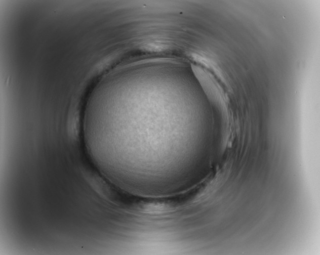 X0000088410400200706051157