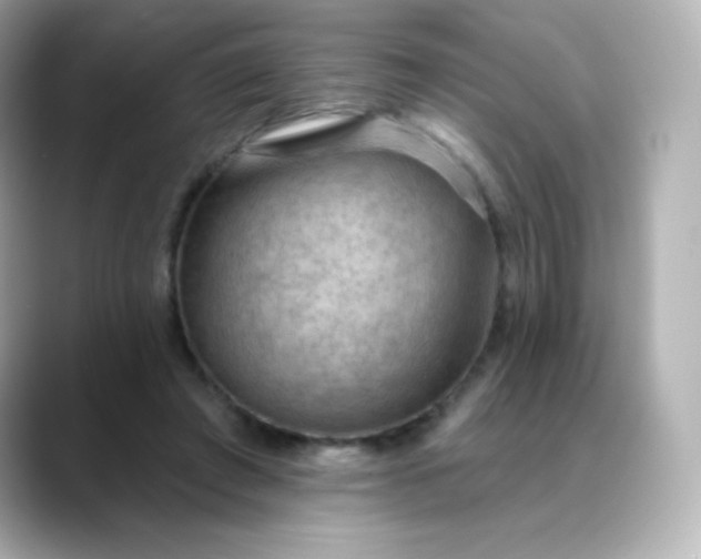 X0000088410401200706051157