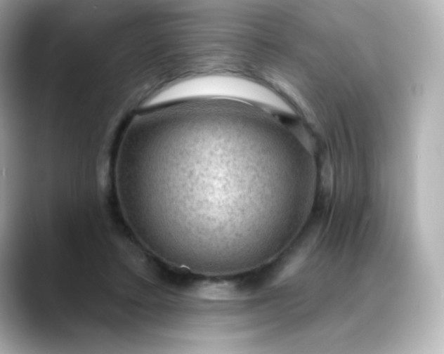 X0000088410403200706051157