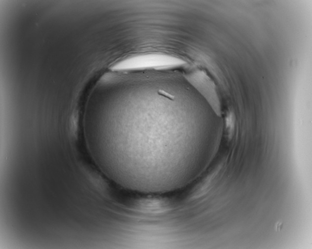 X0000088410404200706051157