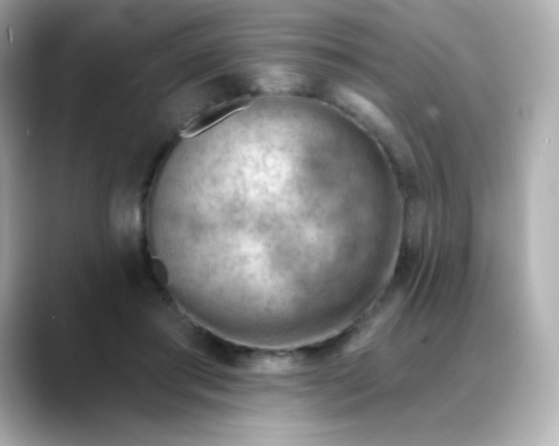 X0000088410405200706051157