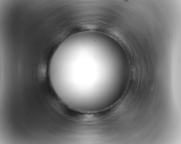 X0000088410406200706051157