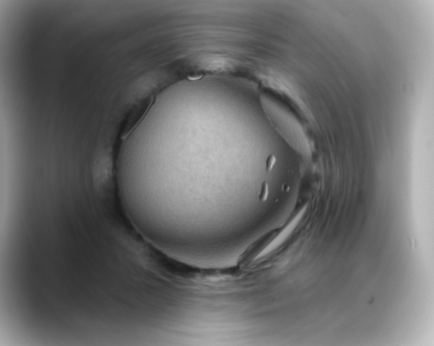 X0000088410407200706051157