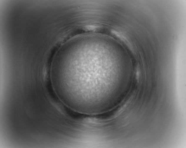 X0000088410408200706051157