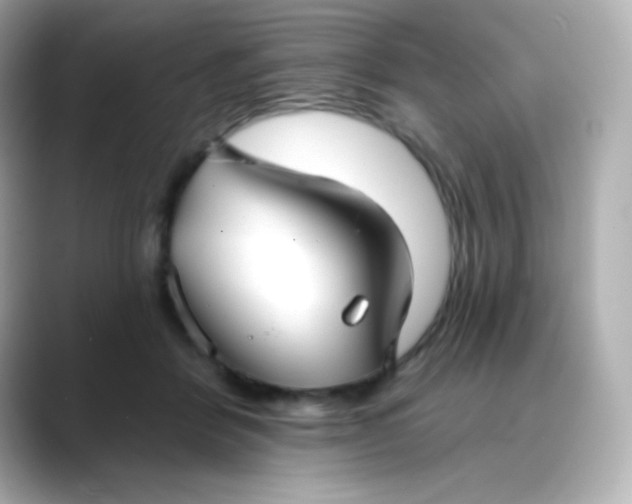 X0000088410412200706051157