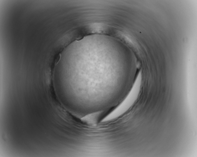 X0000088410413200706051157