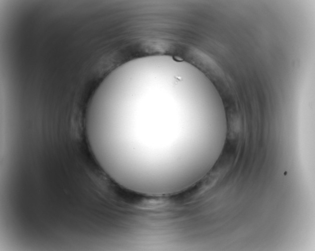 X0000088410414200706051157