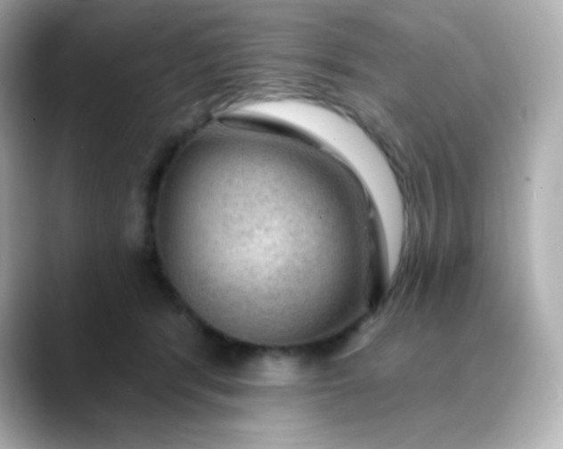 X0000088410416200706051157