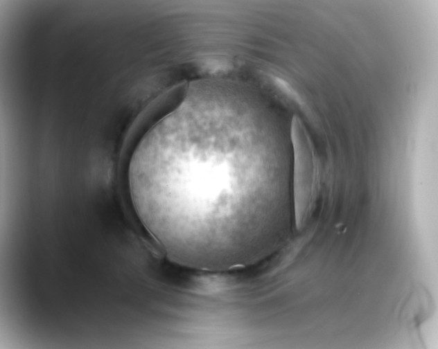 X0000088410417200706051157