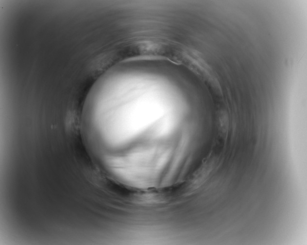 X0000088410419200706051157