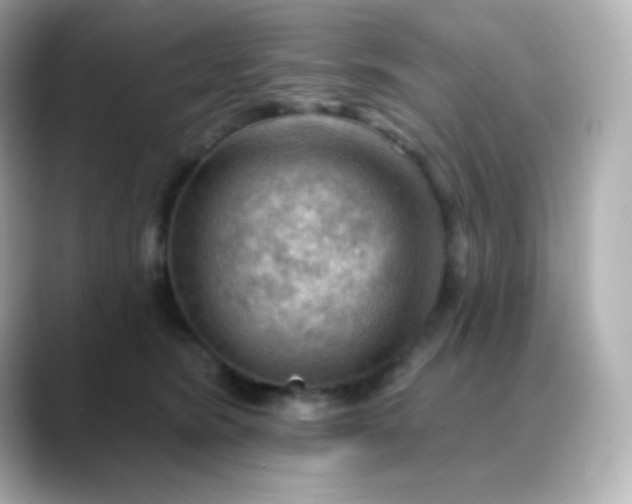 X0000088410420200706051157