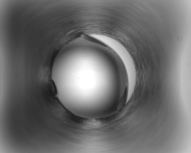 X0000088410421200706051157