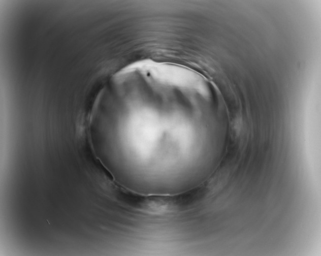 X0000088410423200706051157