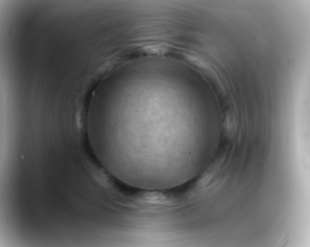 X0000088410424200706051157