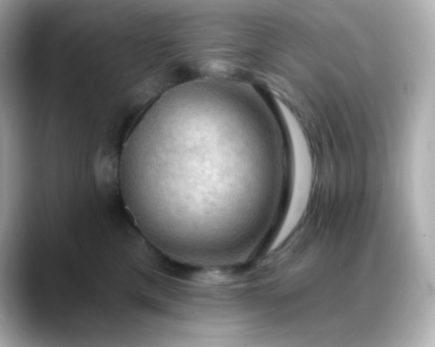 X0000088410425200706051157