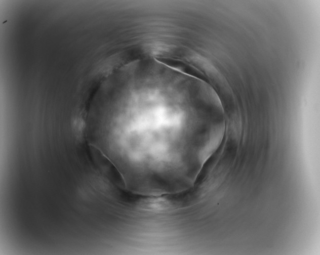 X0000088410427200706051157