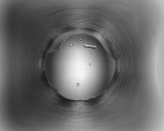 X0000088410428200706051157