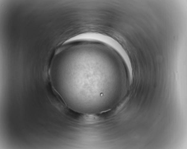 X0000088410429200706051157