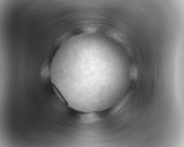 X0000088410431200706051157