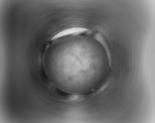 X0000088410432200706051157