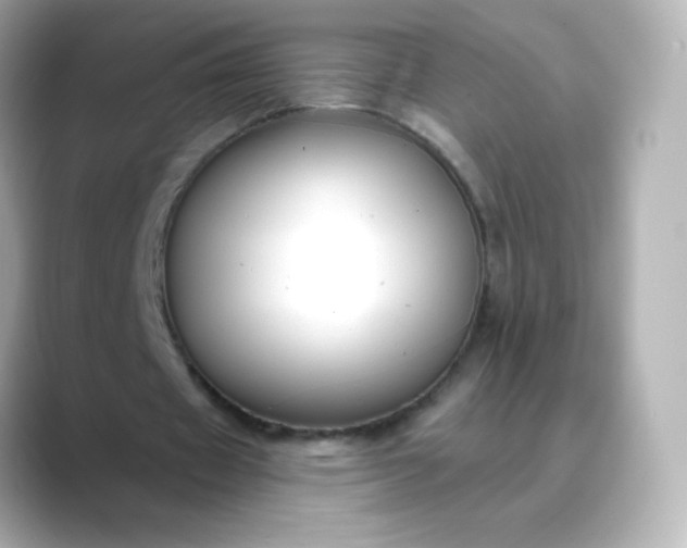 X0000088410433200706051156