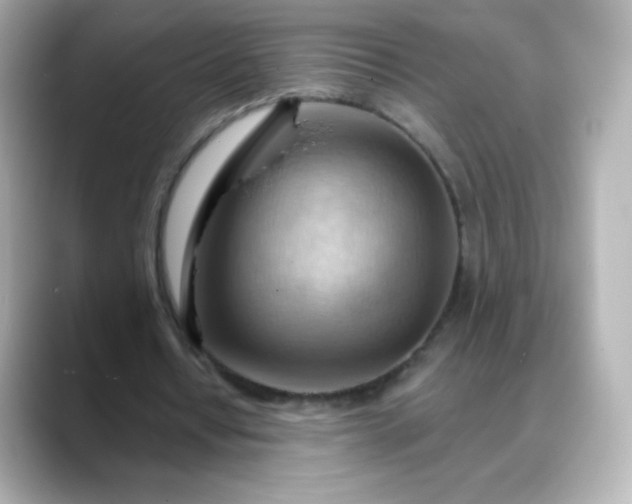 X0000088410434200706051156