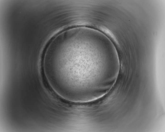 X0000088410436200706051156