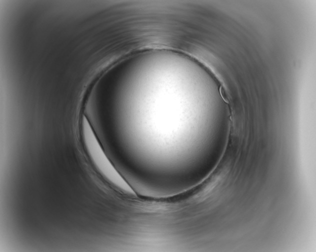 X0000088410437200706051156