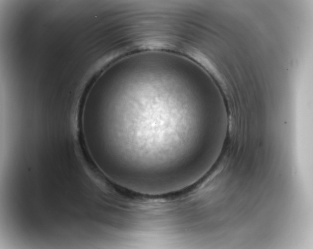 X0000088410438200706051156