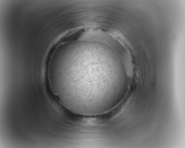 X0000088410440200706051156