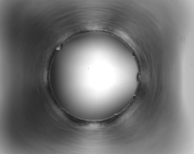 X0000088410441200706051156