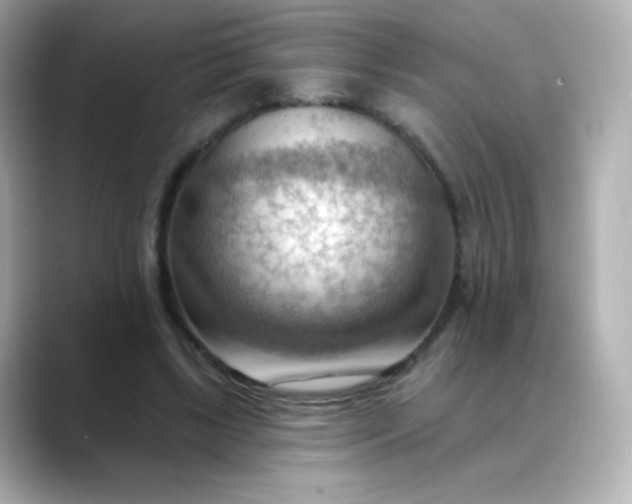 X0000088410443200706051156