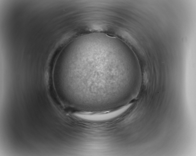 X0000088410444200706051156